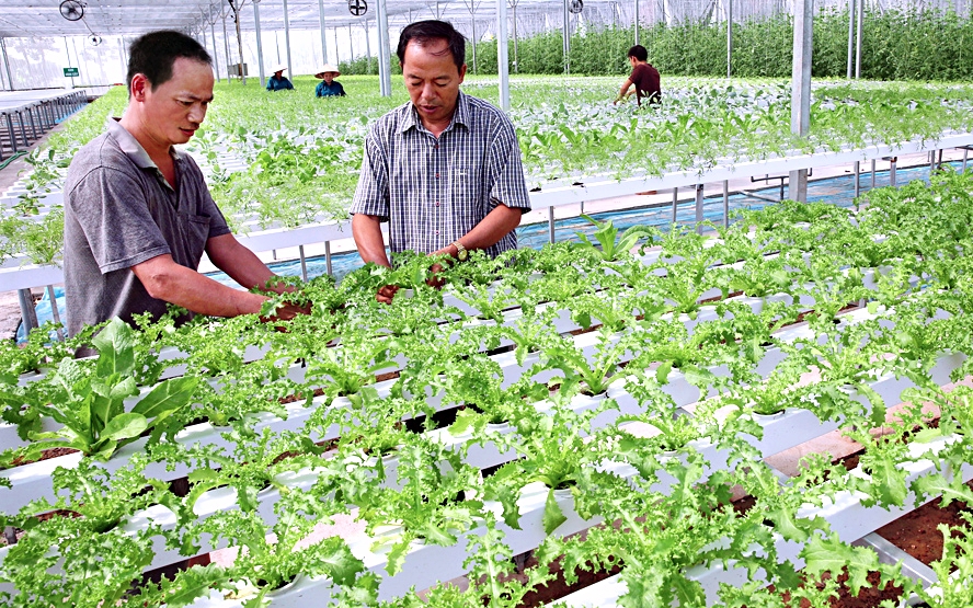 Bài 2: Làm thường xuyên, liên tục, tạo nền tảng vững chắc